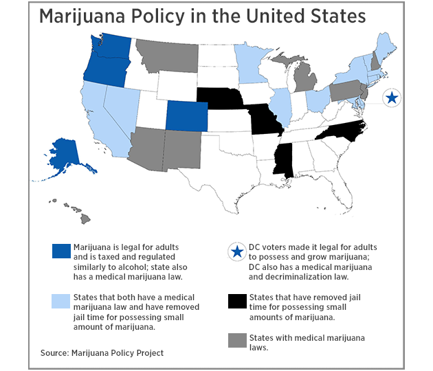 Marijuana Policy