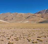 New Mineralized, Wide Intercepts Help Derisk Resource