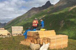 Forgotten Drill Data Reveals High-Grade Tungsten-Gold Intercepts as 2026 Exploration Plans Take Shape