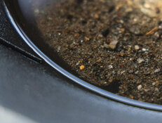 Mining Co. Uncovers Promising Expansion to Significant Gold Zone