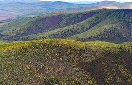 Junior Miner Finds Signs of Major Copper System in BC