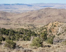 Gold Explorer Uncovers High-Grade Nevada Hits