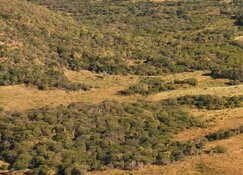 A Phase Two Copper-Gold Drill Program and Bullish Charts; Is It Time To Buy?