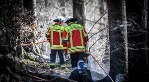 Data Analytics Firm Discovers Massive Fire Modeling Opportunity in Canada