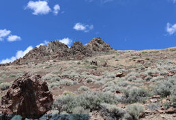 Nevada Copper Drilling Finds Excellent Expansion Zones