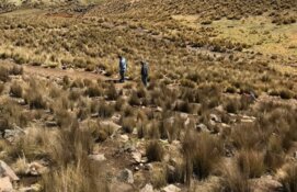 Silver Explorer Discovers Historic Zones With High-Grade Upside