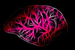 Biotech Co. Unveils Scalable AI Voice Biomarker Platform