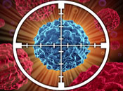 Antibody-Drug Conjugate Developer Achieves High Objective Response Rates in Ovarian Cancer Study