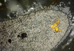 Gold Developer Secures Major Financing for Brazilian Project