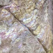 Exploration Company Reports 56m Gold Intercept at Liberia Flagship Project