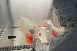 US Biotech Co. Targets Muscuar Dystrophy with First-In-Class Drug