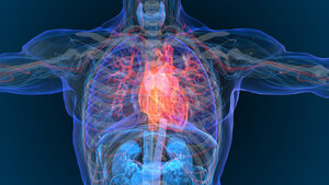 Canadian Pharmaceutical Company Discovers Breakthrough Cardiovascular Treatment