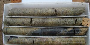 Copper Corp. Advances High-Grade Porphyry Skarn System, Led By Young Innovative Team