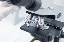 Lexington, MA Biotech Pushes DMD Phase 2 Start to 3Q26 on Regulatory Hurdles