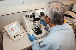 Arizona Biotech Advances Multiple Cell Therapies