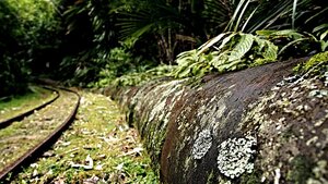 New Gold Structures, Big Grades, and Bigger Plans in Ontario's Next Mining District