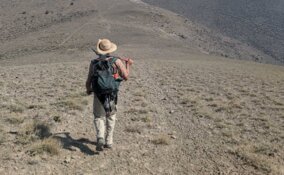 Nevada Drill Campaign Hits High Grade Gold in New Target Area